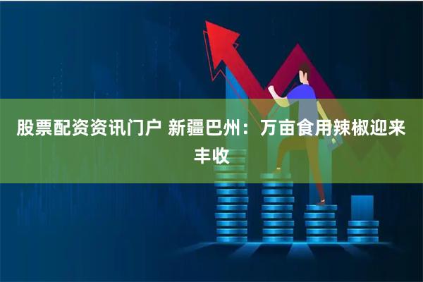 股票配资资讯门户 新疆巴州：万亩食用辣椒迎来丰收